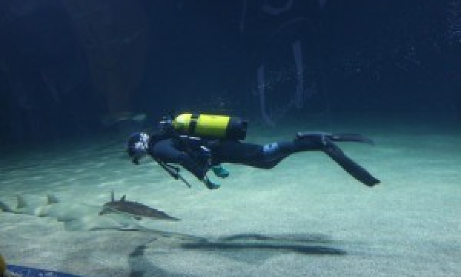 Deep dive into the subject