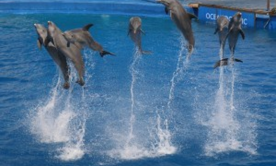 Jump for joy