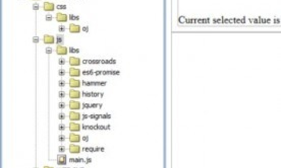 Project overview