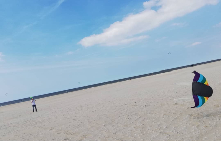 whitehorses