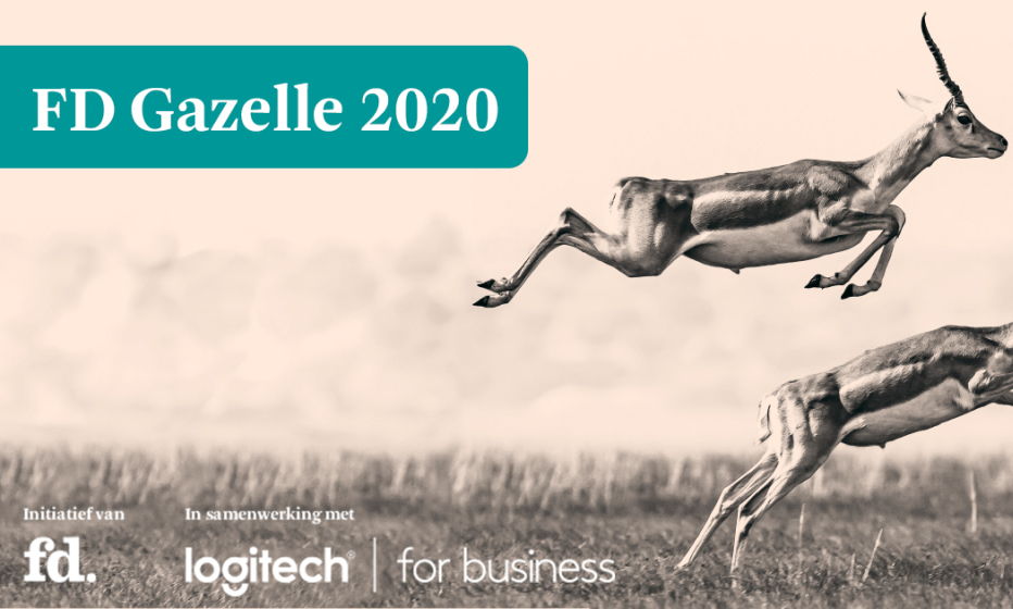 gazelle