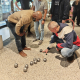 Jeu de Boules